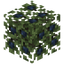 Berry Bush