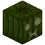 Green Jack o'Lantern