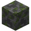 Creeper Mossy Stone Bricks Carving