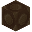 Ancient Wax Compound Eyes