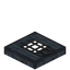 Petrified Trapdoor