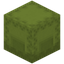 Conifer Shulker Box