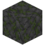 Trodden Mossy Stone Bricks