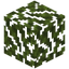Palm Leaves