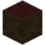 Mangrove Log