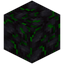 Green Gilded Blackstone