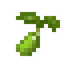 Brusselsprout Seed