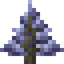 Holiday Sapling
