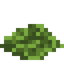 Algae