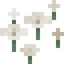White Petals