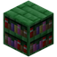 Green Enchanted Bookshelf
