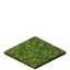 Moss Carpet