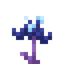 Nightcress