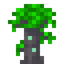 Flourishing Archwood Sapling