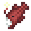 Angler Fish