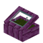 Green Pink Bioshroom Display Case