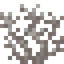 Dead Brain Coral