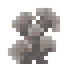 Dead Toxic Coral
