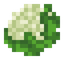 Cauliflower