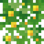 Poisonous Vine