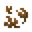 Fallen Leaves
