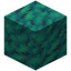 Patched Warped Wart Block