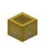 Trapped Yellow Present