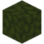 Blobby Moss Block