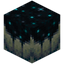 Sculk Catalyst