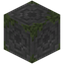 Loded Mossy Stone Bricks