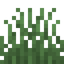 Grass
