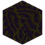 Warped Hyphae