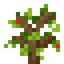 Orchard Sapling
