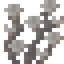 Dead Diamond Coral