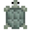 Arrau Turtle