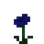 Poppy