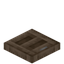 Joshua Trapdoor