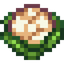 Cauliflower