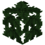 Palm Leaves