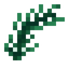 Seaweed Eel