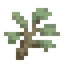 Silverbush