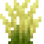 Wild Barley