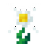 Pure Daisy