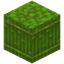 Sugar Cane Bundle