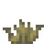 Scorched Grass