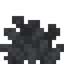Dead Bubble Coral