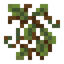 Ivy
