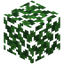 Wolfberry Leaves