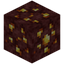 Nether Gold Nest