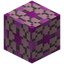 Paved Magenta Glazed Terracotta